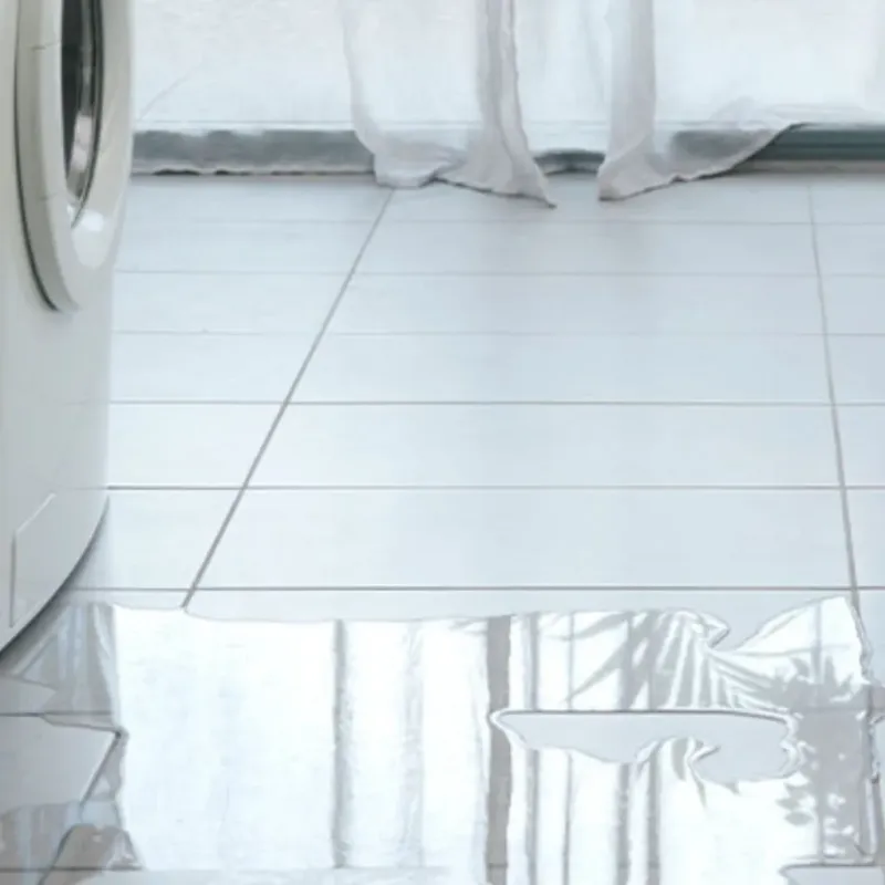 Appliance Leak Cleanup in Webb, AL