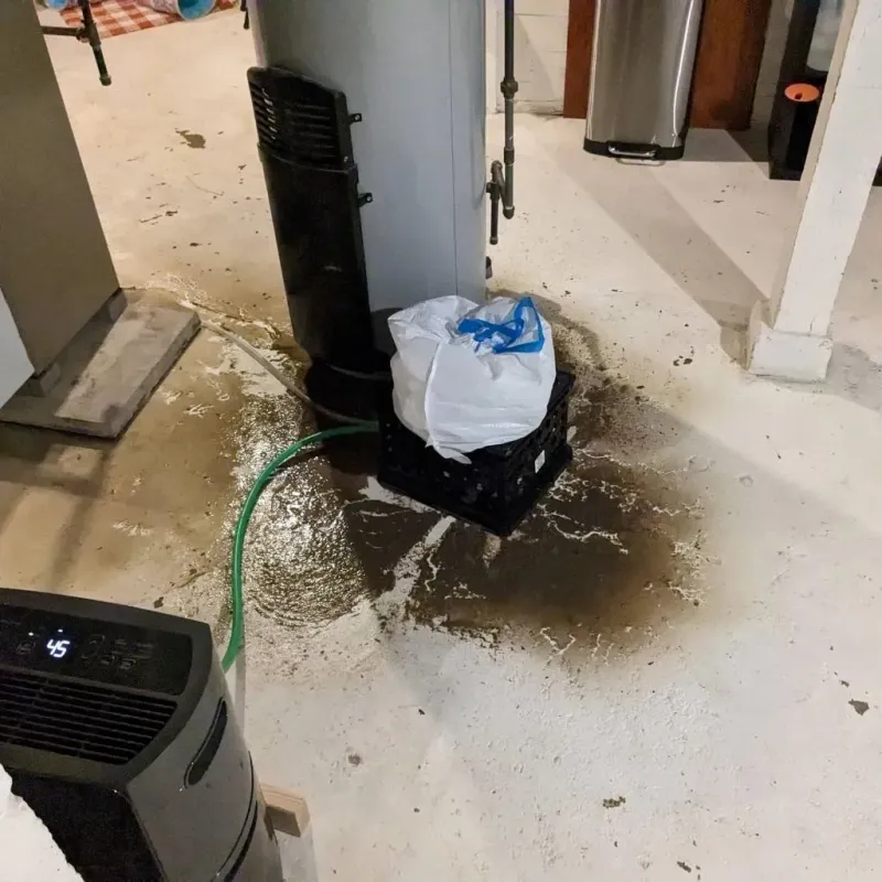 Sewage Backup Cleanup Service in Webb, AL